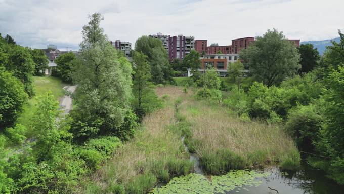 Weiher in Rotkreuz wurde aufgewertet