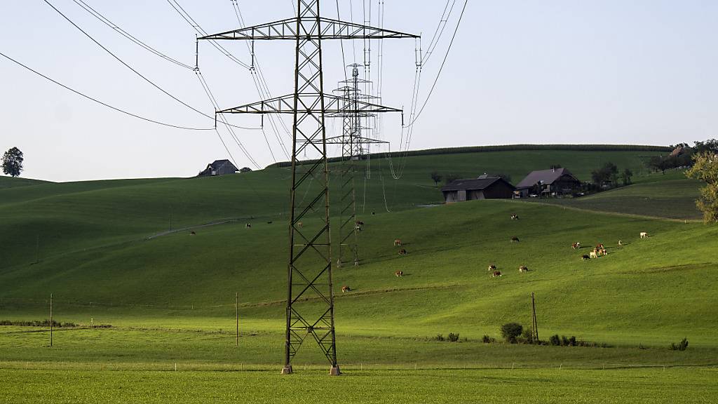 Der Kanton Bern bezieht den Strom für seine rund 90 Gebäude künftig von Alpiq, der BKW und Energie Wasser Bern.