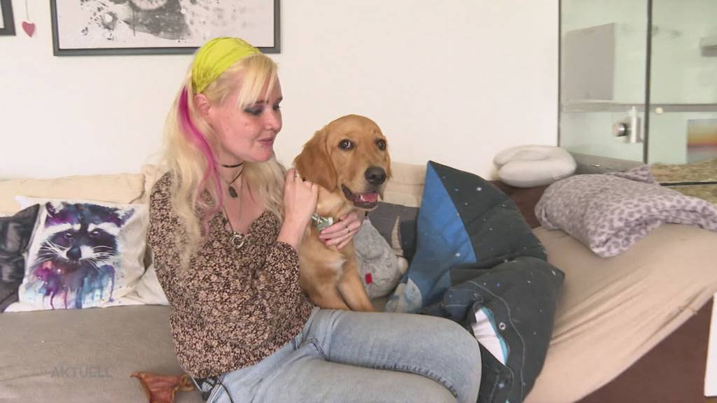 Aargauerin findet wegen Assistenzhund keine Wohnung