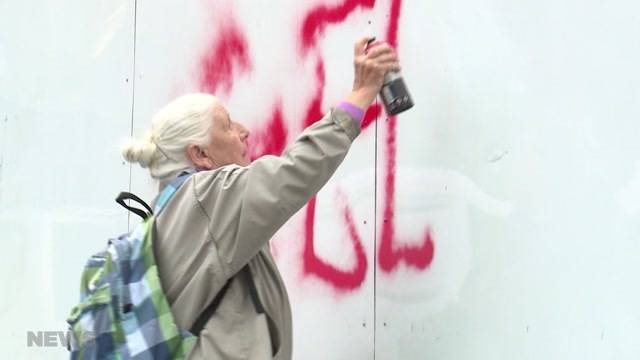 86-Jährige greift zur Spraydose