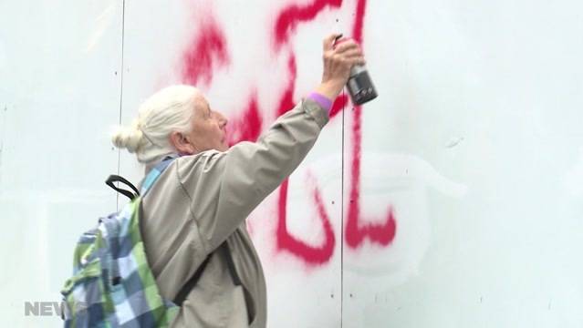 86-Jährige greift zur Spraydose