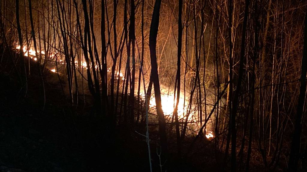 2022-03-25 Oensingen, Brandfall2_Waldbrand