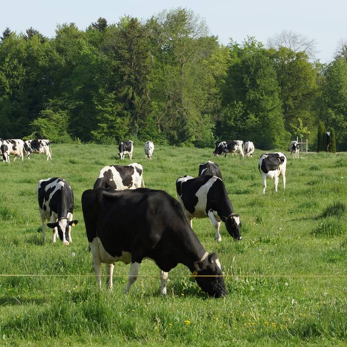 Pflanzenschutz ist wichtig