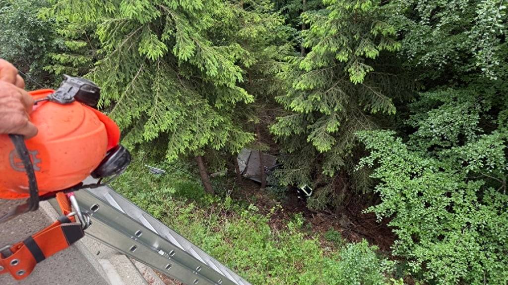 Der Mann stürzte mit seinem Auto ein steiles Waldstück hinunter.