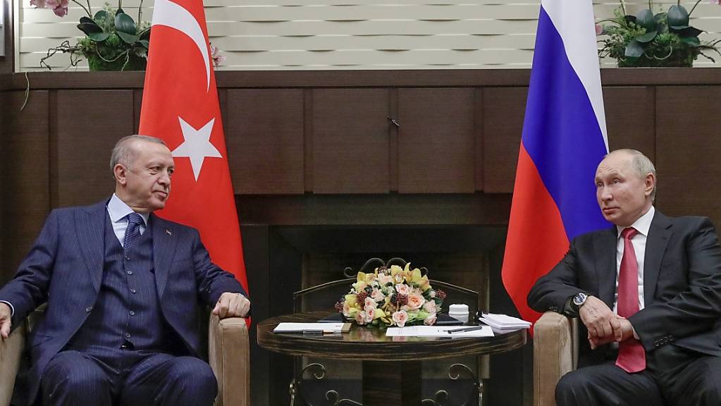 Wladimir Putin (r), Präsident von Russland, und Recep Tayyip Erdogan, Präsident der Türkei, treffen sich in der russischen Staatsresidenz Bocharov Ruchey. (Archiv)