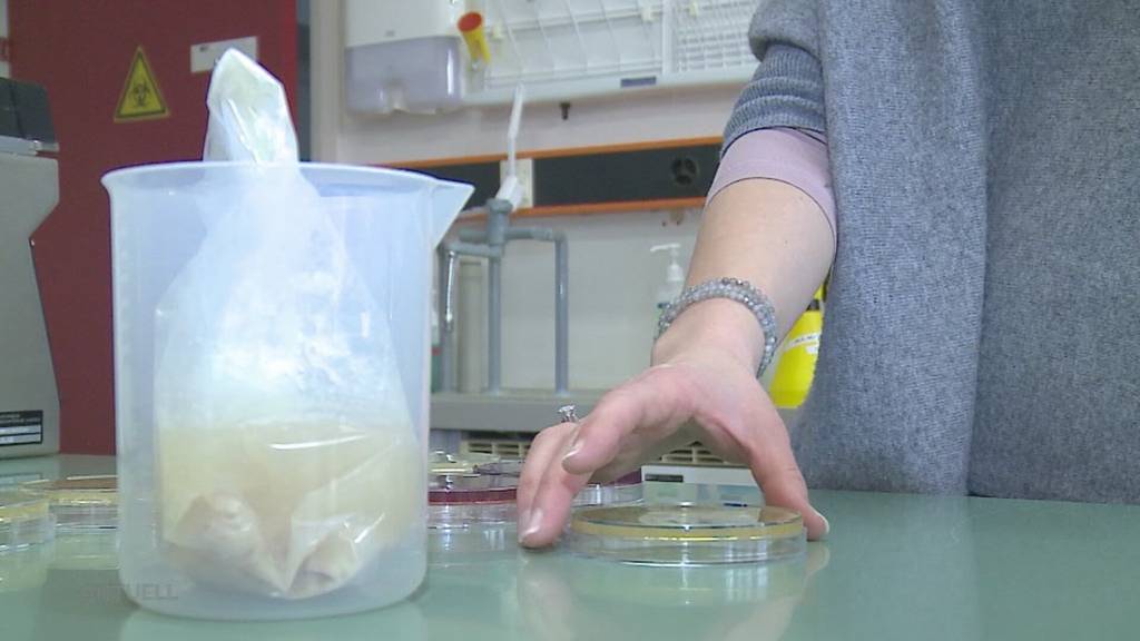 Neuer Bericht: Anzahl Lebensmittelvergiftungen hat sich im Aargau verdoppelt