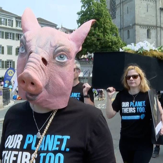 Tierschützer demonstrieren mit Sarg in Zürich