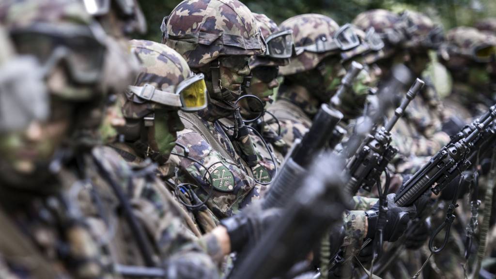 Die Militärjustiz hat eine Untersuchung gegen die Kompaniekommandantin eingeleitet. (Archivbild)