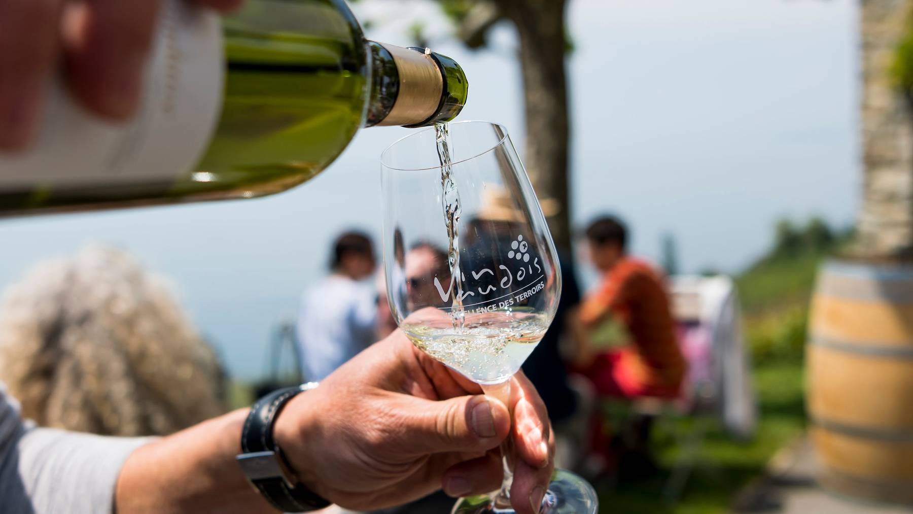 11 Liter Wein pro Kopf wurden im vergangen Jahr in der Schweiz produziert.