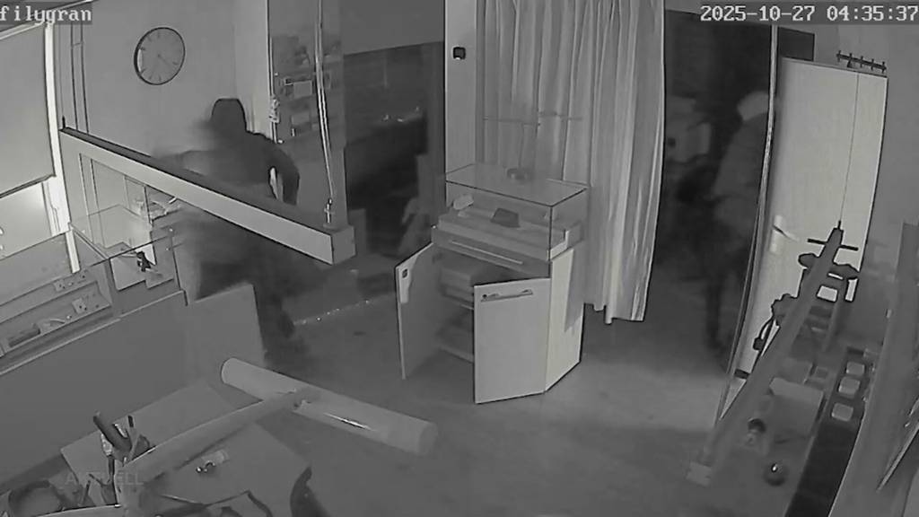 Einbruchsrekord: Die vielen Vermögensdelikte im häuslichen Bereich beschäftigen auch die Politik