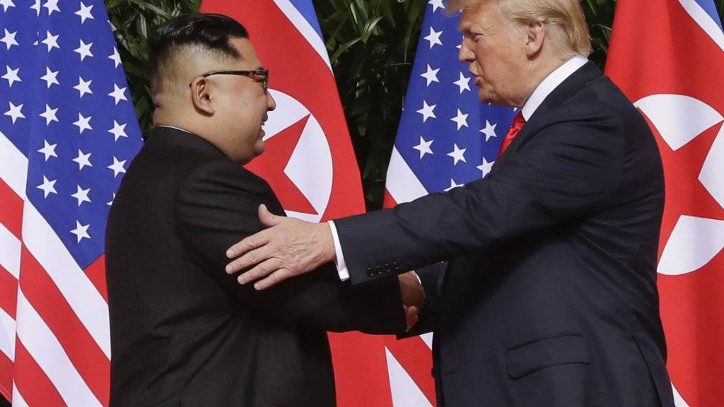 US-Präsident Donald Trump hat Nordkoreas Machthaber Kim Jong Un ein neues Treffen in der entmilitarisierten Zone zwischen Nord- und Südkorea angeboten. (Archivbild)
