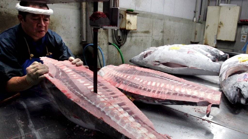 Um Frische vorzutäuschen, wird Thunfischfleisch oft verbotenerweise chemisch behandelt. (Symbolbild:  EPA/EVERETT KENNEDY BROWN)