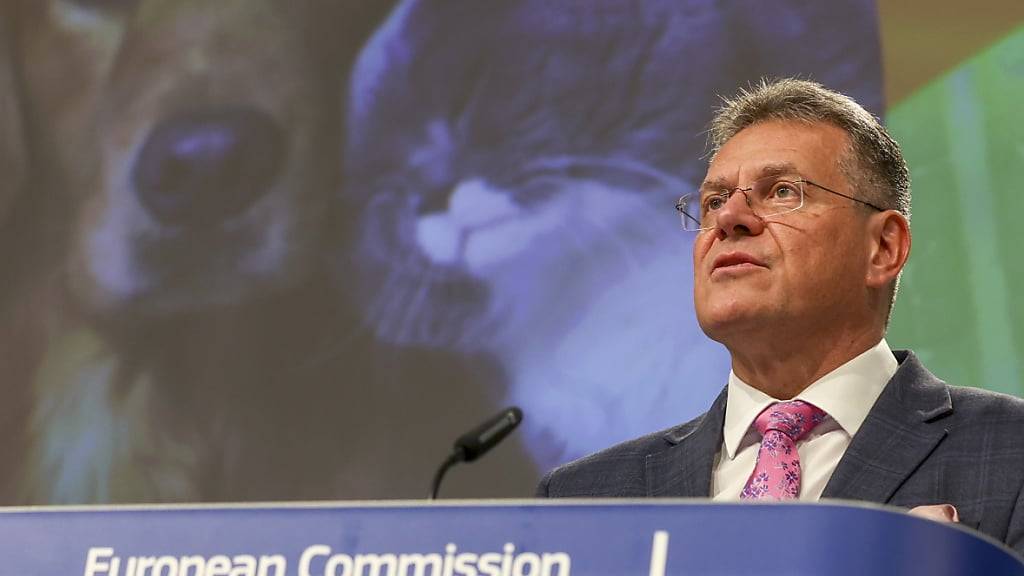 EU-Vize-Kommissar Maros Sefcovic geht davon aus, dass der Bundesrat am Freitag die gemeinsame Erklärung Schweiz-EU veröffentlichen wird. Das sagte er am Dienstag in Brüssel. (Archiv)