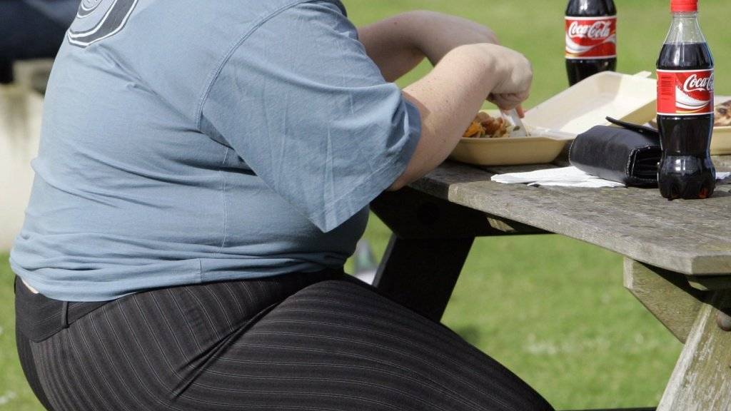 Junkfood und Süssgetränke können zu Fettleibigkeit führen (Archiv)