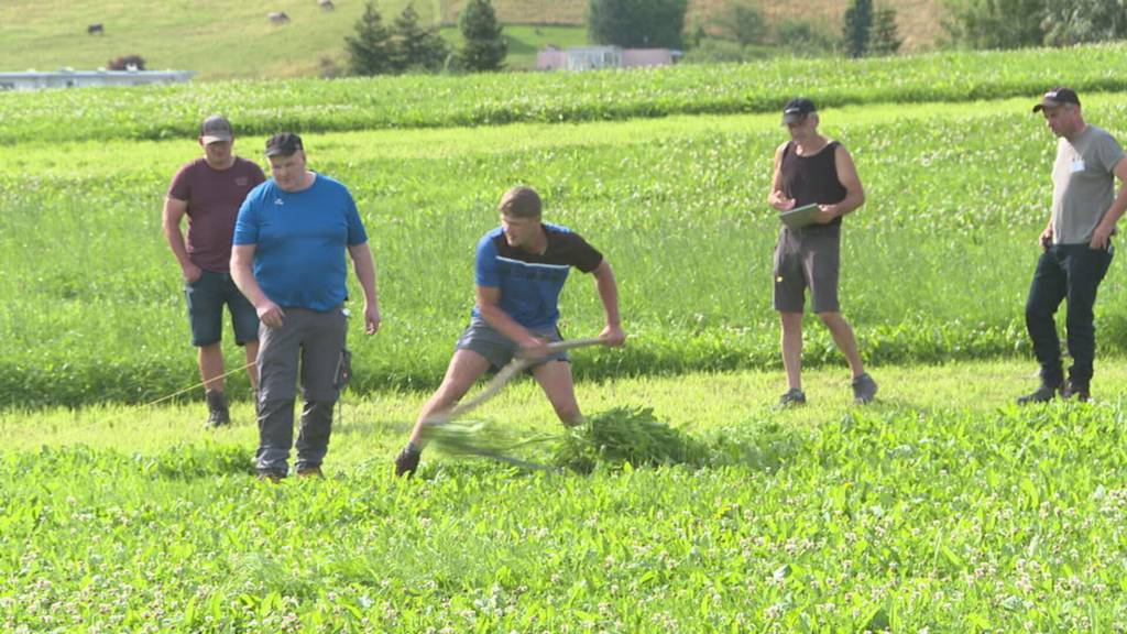 Mit Schwung durchs Gras: Handmähmeisterschaft in Herisau