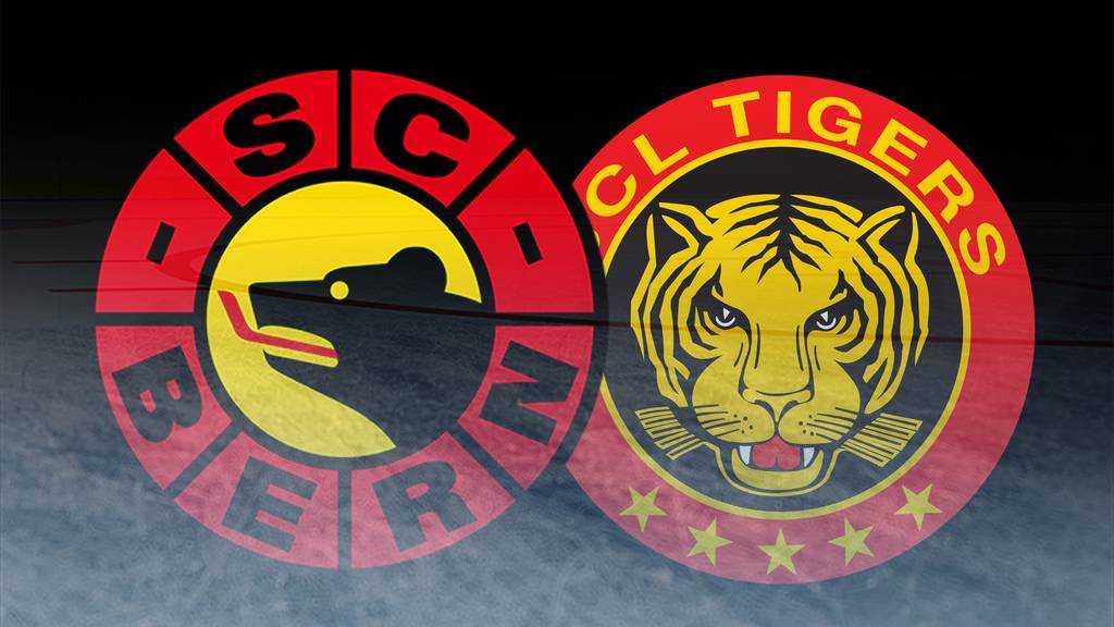 Wettbewerb: SC Bern vs. SCL Tigers