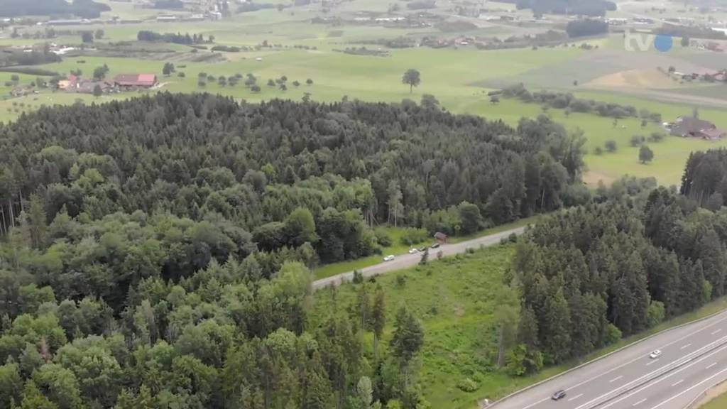 Bäume weg – Deponie bauen: In Gossau regt sich Widerstand gegen neues Projekt