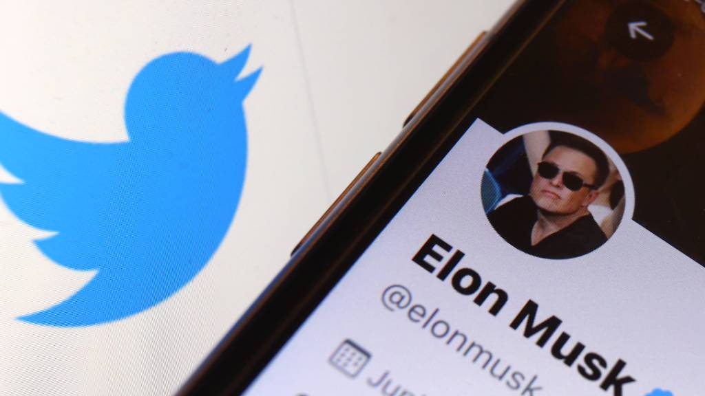 Der Twitter-Account von Elon Musk ist vor dem Logo der Nachrichten-Plattform Twitter zu sehen. Twitter steuert auf Übernahme durch Tech-Milliardär Elon Musk zu. (Symbolbild)