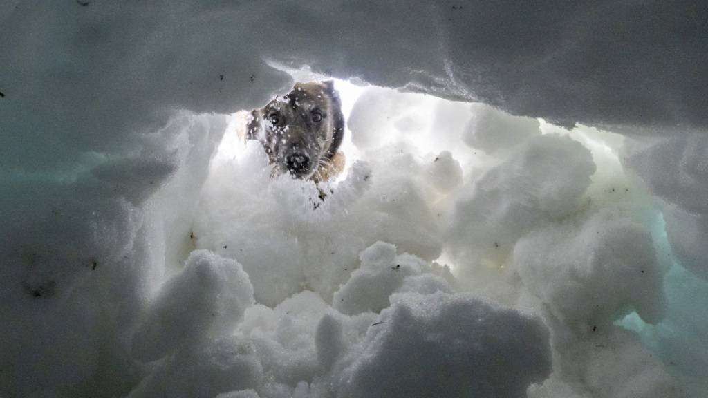 Europäische Lawinenwarndienste ziehen eine düstere Bilanz. (Archivbild)