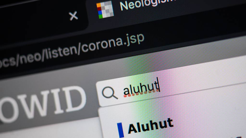 Das Wort «aluhut» steht auf der Homepage des Online-Wortschatz-Informationssystem Deutsch (OWID) des Leibniz-Institut für Deutsche Sprache (IDS) im Suchfeld. Das Wort wurde in das Wörterbuch der Neologismen, also der neuen Wörter, aufgenommen. Foto: Sebastian Gollnow/dpa