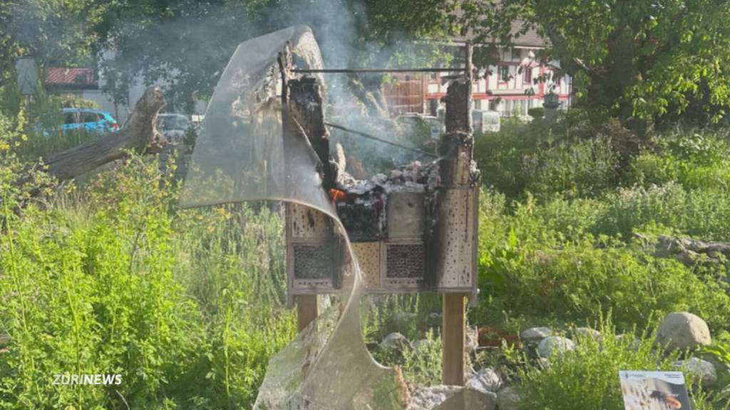 Schock in Illnau-Effretikon: Wildbienenhaus mutwillig abgebrannt
