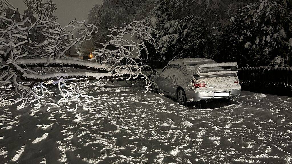 Auf der Churer Malixerstrasse knallte Freitagnacht ein Auto in einen zuvor umgestürzten Baum. Die Insassen blieben unverletzt.