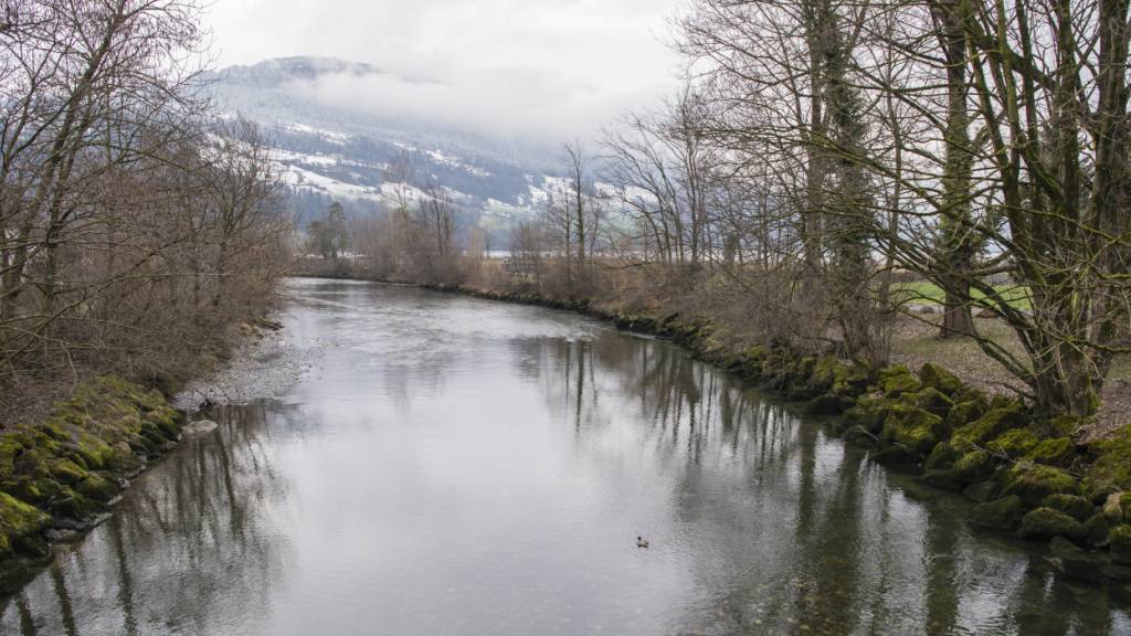 An der Muota und ihren Zuflüssen sind in den nächsten Monaten ökologische Massnahmen geplant. (Archivbild)