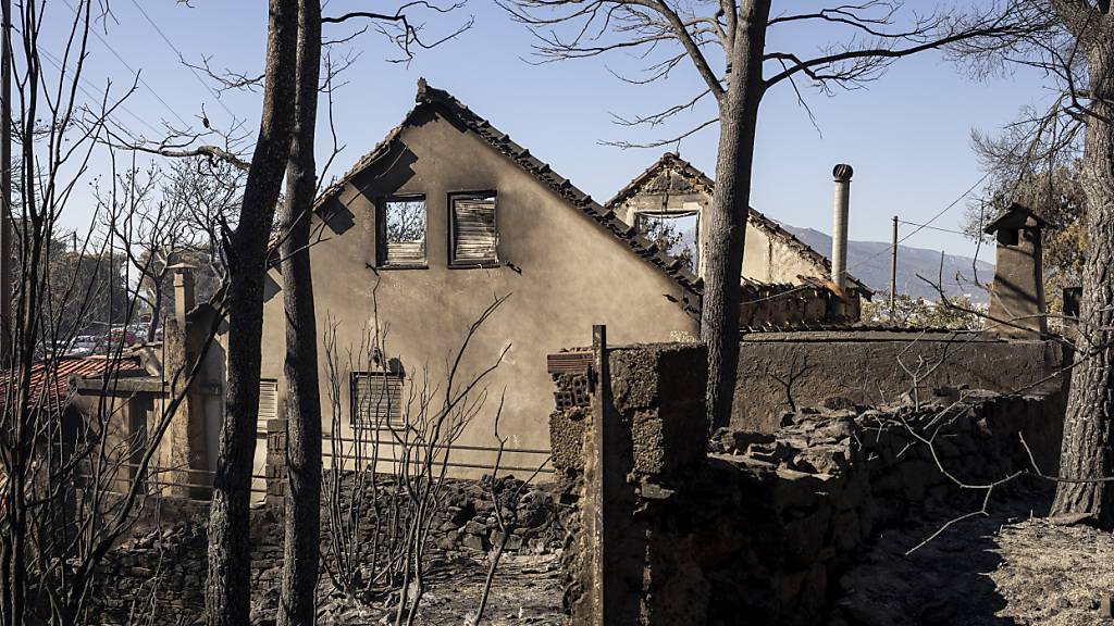 Grossbrand bei Athen gelöscht - die Fragen bleiben