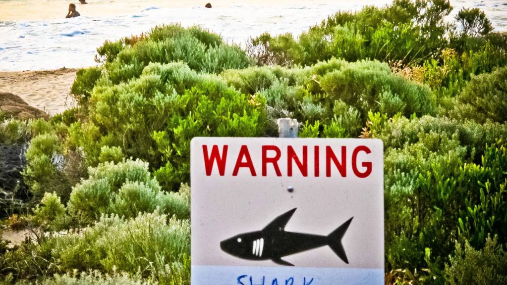 ARCHIV - Ein Schild mit der Aufschrift «Warning shark sighting» (dt. Achtung Hai gesichtet) ist in der Nähe von Prevelly Beach aufgestellt. (Symbolbild)Im Südosten Autraliens haben zwei Teenager einen Hai-Angriff überlebt. Berichten lokaler Medien zufolge seien die beiden in «stabilem Zustand». Foto: Rebecca Le May/AAP/dpa