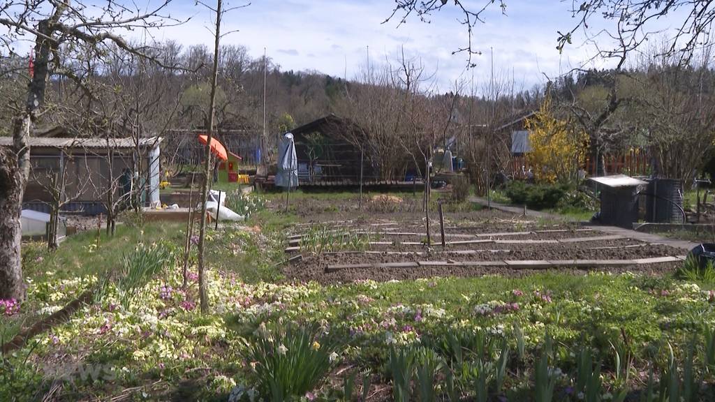 Gärtner sollen wegen Sparmassnahmen mehr für ihre Gärten zahlen