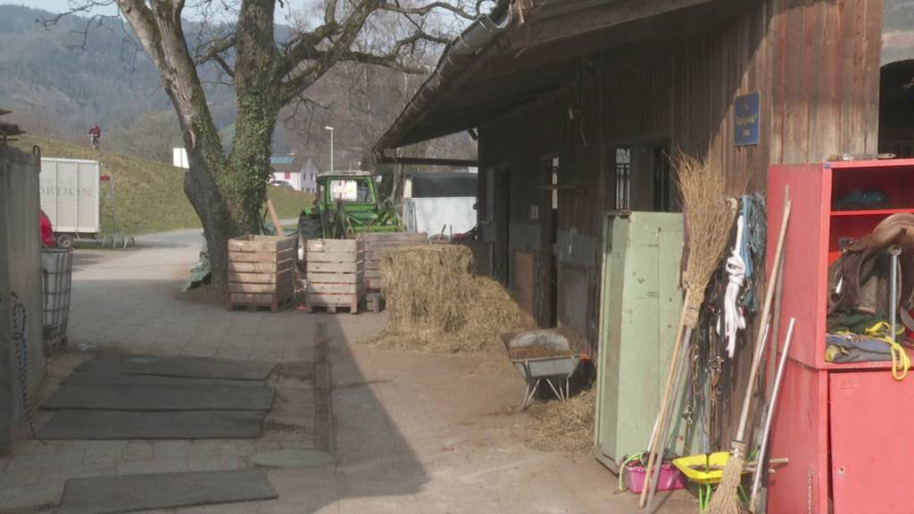 Rheintaler Pferdebesitzer äussert sich zu happigen Vorwürfen