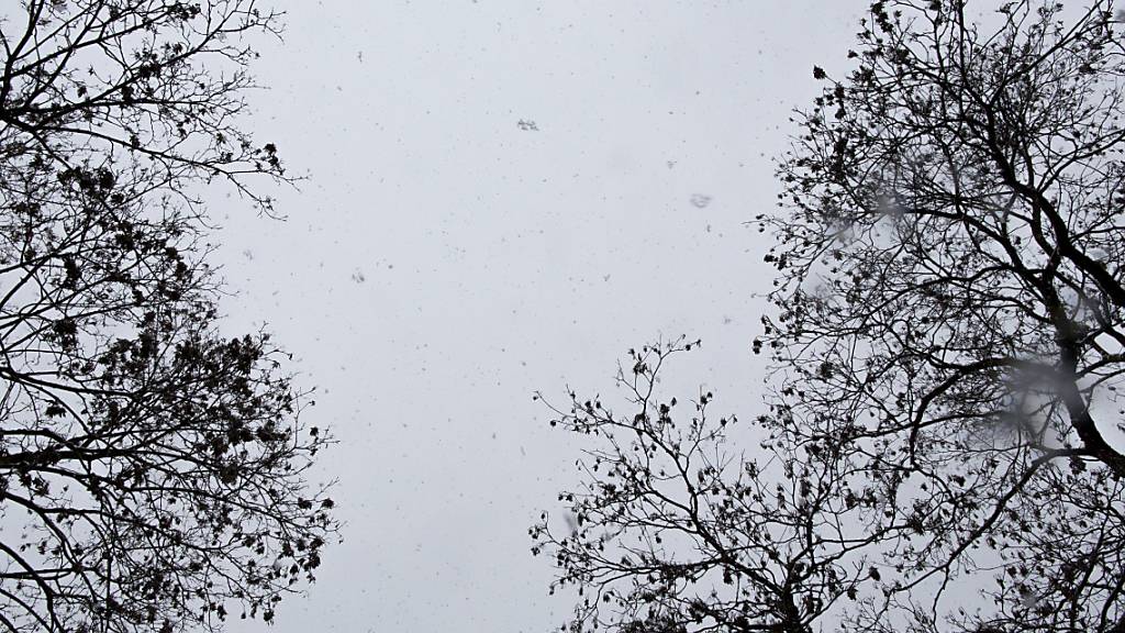 Auch im Flachland gab es in der Schweiz teilweise Schnee. (Archivbild)