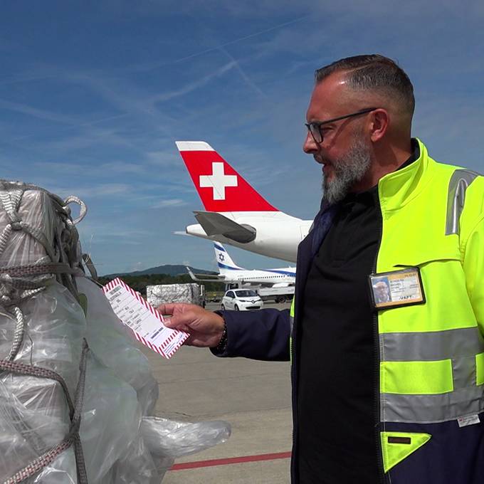 Wo Löwen aus der Kiste knurren: Die Luftfracht des Flughafens Zürich