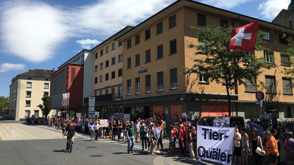 In Frauenfeld demonstrieren rund 200 Menschen gegen Pferdequäler U.K. (Bild FM1Today/Raphael Rohner)