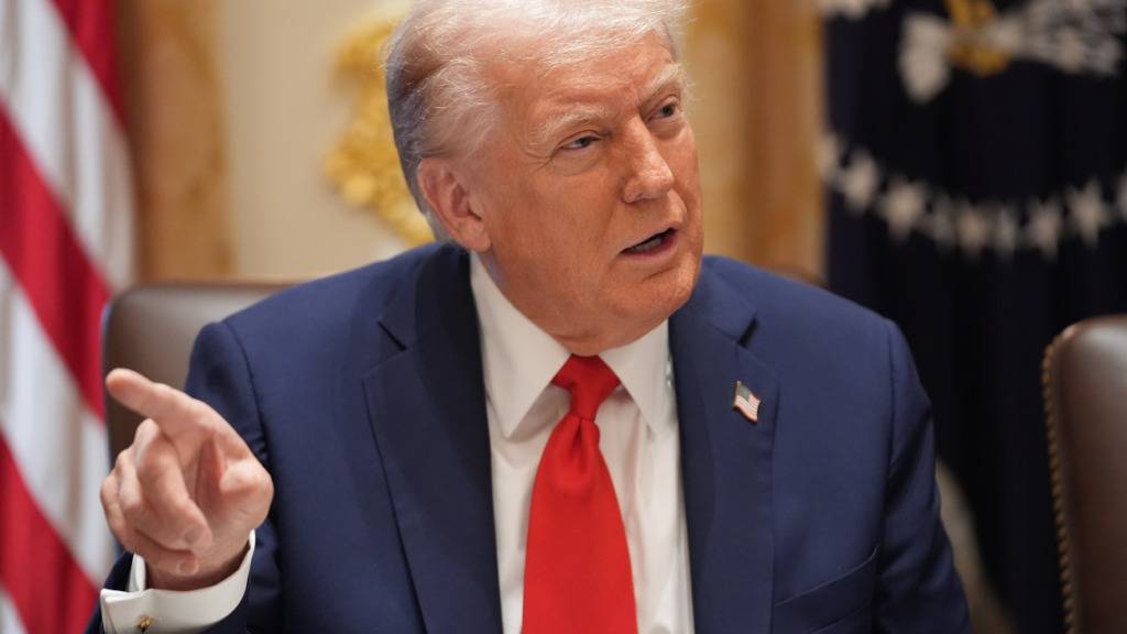 US-Präsident Donald Trump spricht während einer Kabinettssitzung im Weißen Haus. Foto: Evan Vucci/AP/dpa