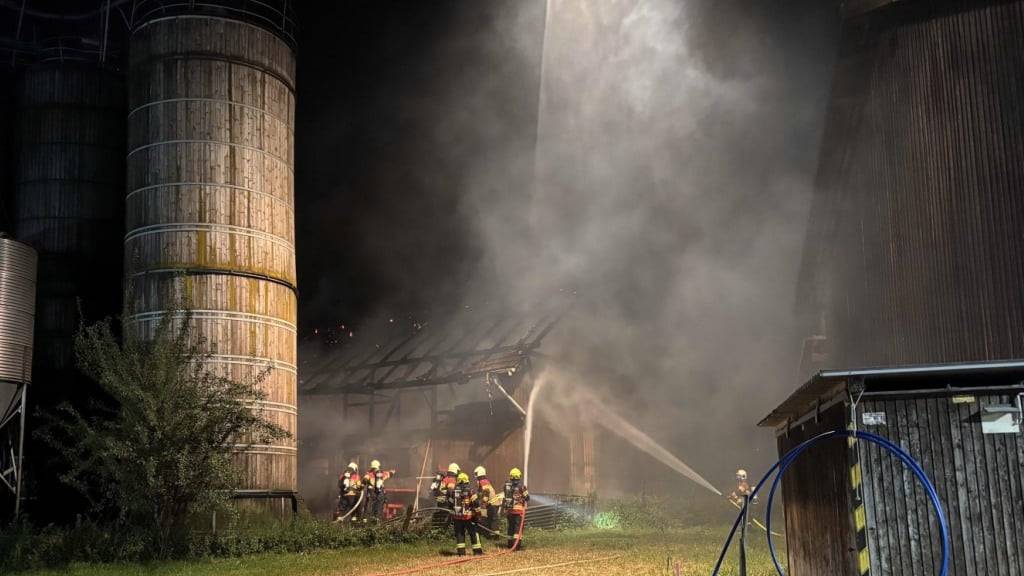 Die Feuerwehren konnten ein Übergreifen der Flammen auf andere Gebäude verhindern.