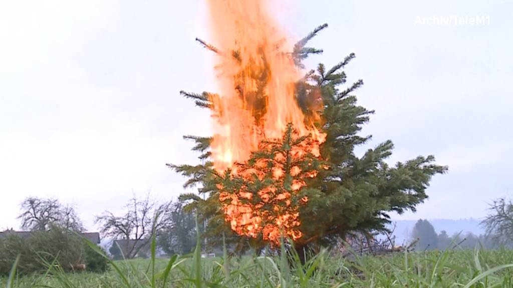 Trotz Verbot: Aargauer Gemeinden verbrennen Weihnachtsbäume – Kanton schaut zu