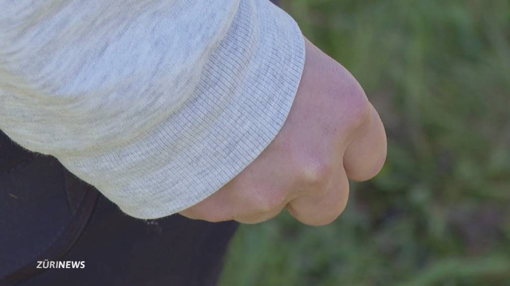 Elf Hunde in Pension in Maur vergiftet: Betreiberin steht vor Rätsel