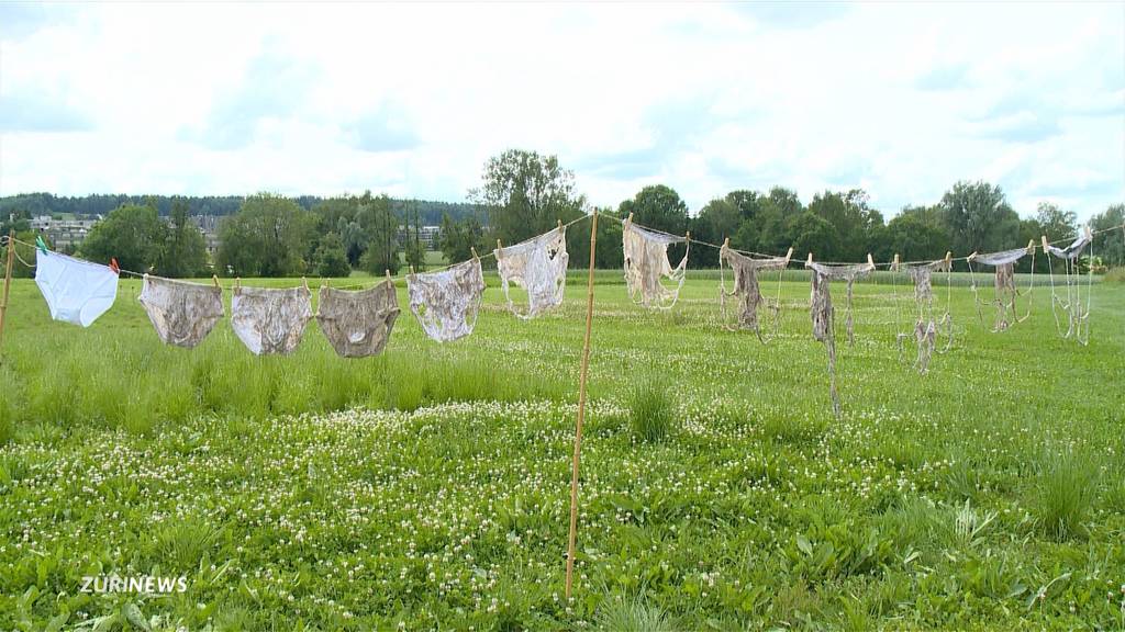 2 Monate lang unterirdisch: Unterhosen zeigen Bodenqualität auf