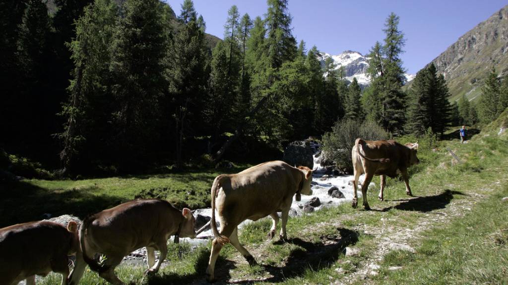 Der Parc Ela ist schweizweit der grösste Regionale Naturpark und liegt im Kanton Graubünden. (Archivbild)