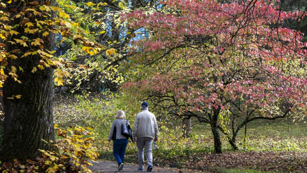 Schon einige Tausend Schritte täglich können einer Studie zufolge dazu führen, dass eine Alzheimer-Erkrankung langsamer voranschreitet. (Archivbild)