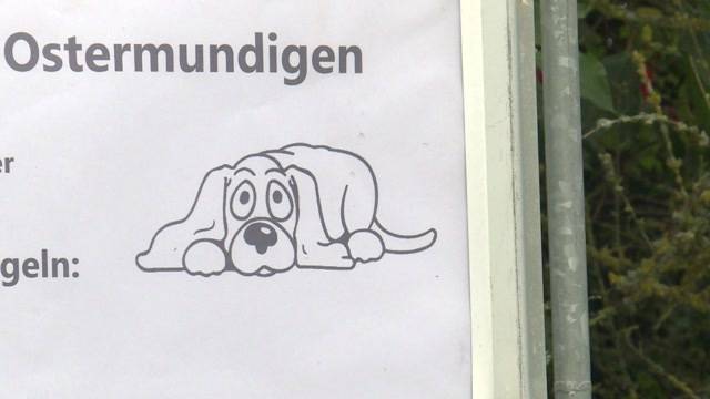 Gemeinde verärgert Hundehalter