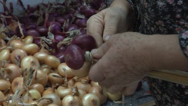 Bauer im Zwiebelzopf-Fieber