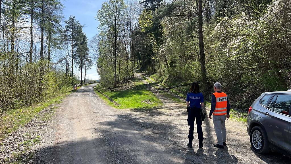 Öl aus unbekanntem Pannenfahrzeug verschmutzt Winterthurer Wald