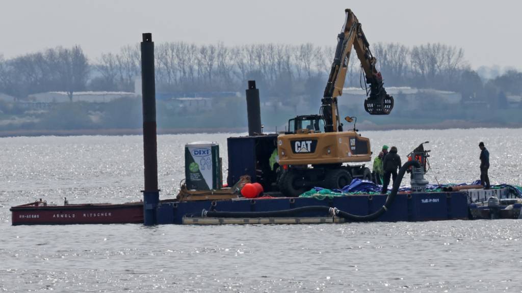 Ein Arbeitsponton mit einem speziellen Bagger und kleinere Begleitboote sind in der Nähe des gestrandeten Buckelwals vor der Insel Poel im Einsatz. Foto: Bernd Wüstneck/dpa