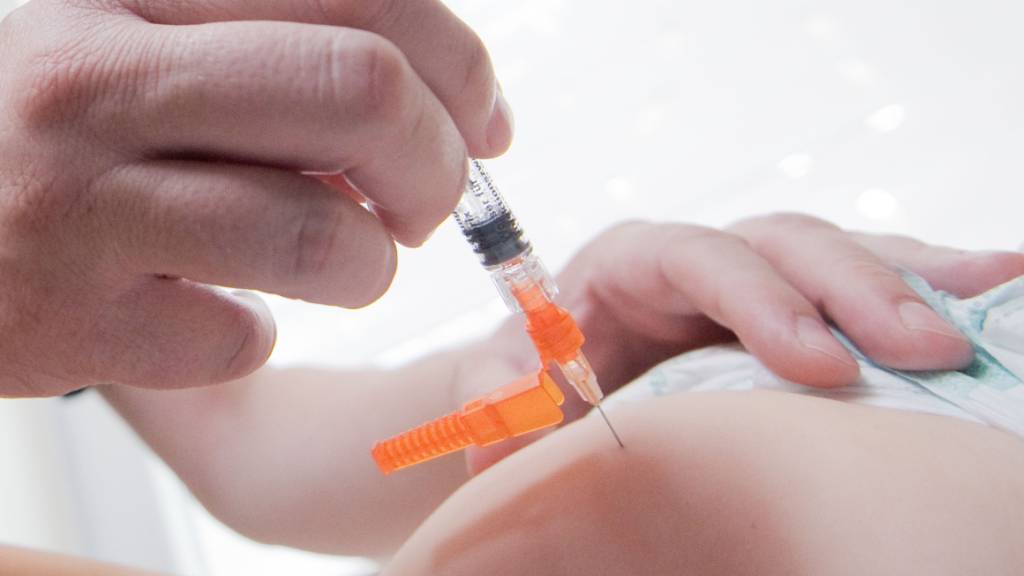 Der Schweiz mangelt es an Impfstoffen gegen Tollwut. (Archivbild)