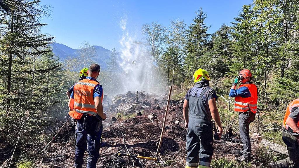 Waldbrand: Löscharbeiten erwiesen sich als Herausforderung