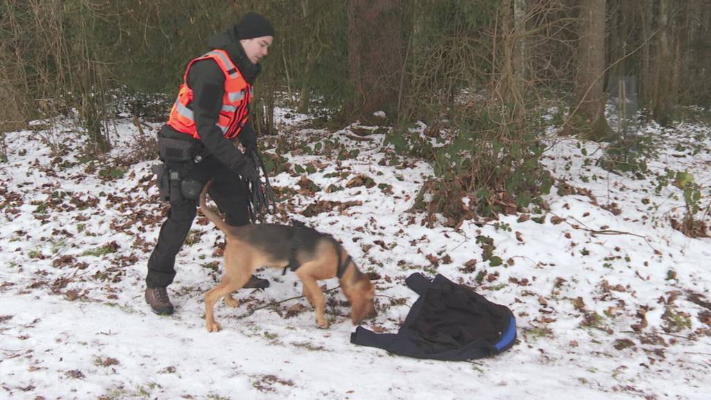 Mit Thalia im Hundetraining der Stadtpolizei St.Gallen