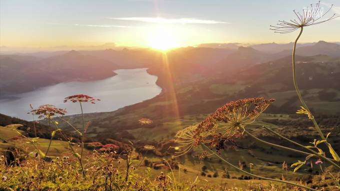 Was ich meine, wenn ich sage, ich lebe im Kanton Nidwalden