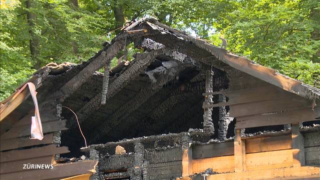 100‘000 Franken Sachschaden nach Waldhütten-Brand beim Zoo Zürich